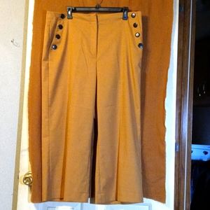 Ann Taylor Cropped Pants